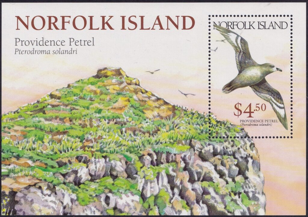 Norfolk Island 1999 - Providence Petrel - Miniature Sheet SG 702, Mint Unhinged (Cat £10.00)
